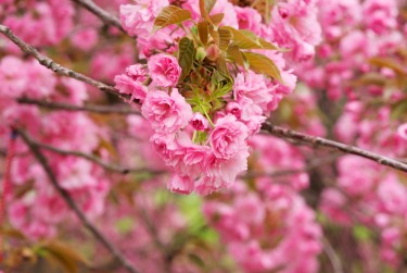 无锡惠山区1线下个人借款平台一站式服务，轻松解决资金难题