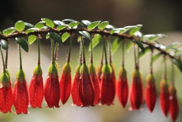 无锡惠山区1零用贷短借：轻松解决临时资金需求