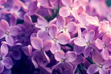 无锡惠山区1企业急用钱贷款攻略：快速融资解燃眉之急